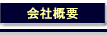 ЊTv